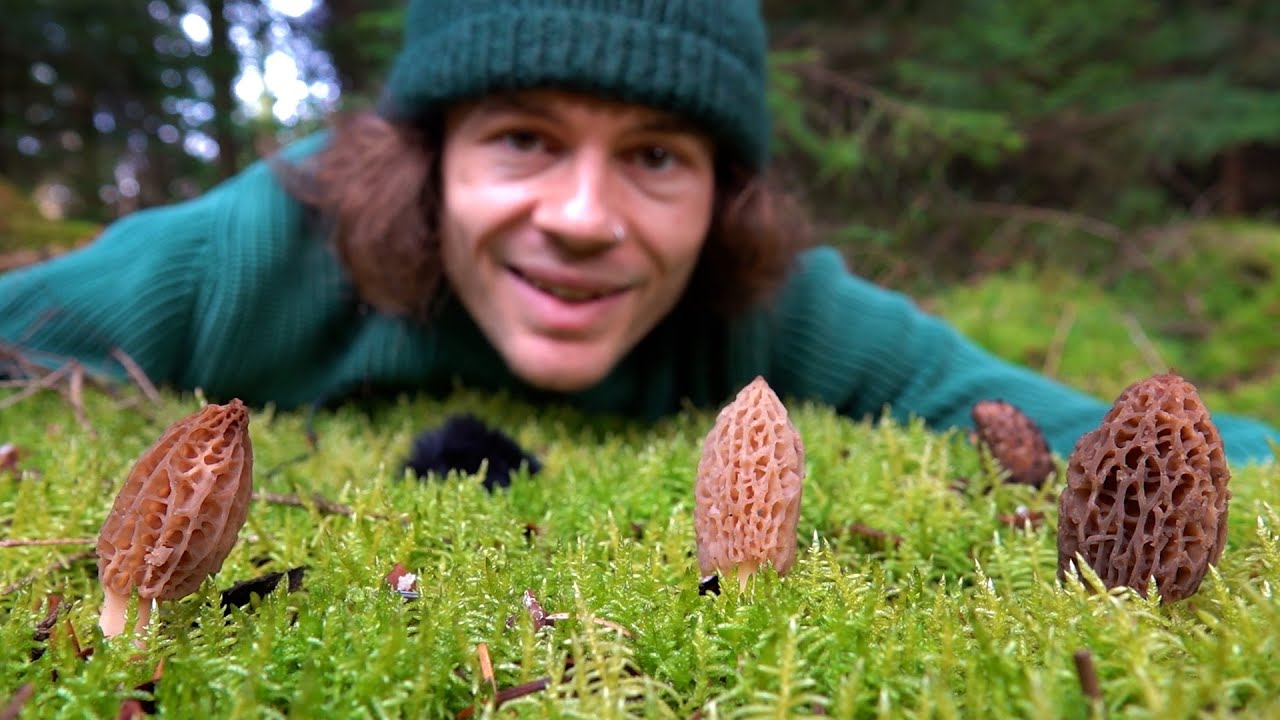 Spitzmorcheln, Märzschnecklinge, Bärlauch - Es geht los!