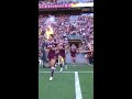 Suncorp is putting it ON today. 🔥🔥🔥