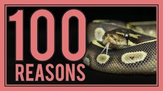 100 Reasons Snakes Make Great Pets