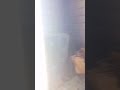 اغنية الجبنة تنتنه المبدع عصام خضر و العازف عبدالله عوض