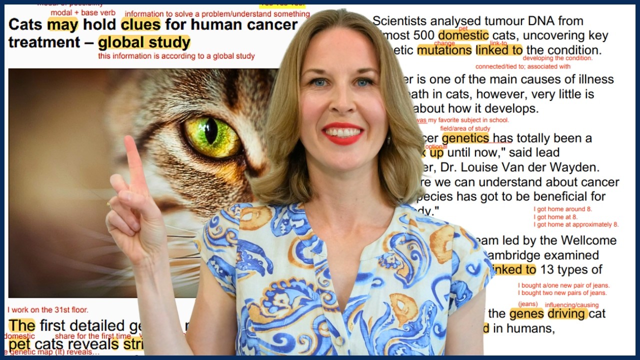 If You Can Understand This Article from CNN, Your English is Excellent!