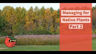 Managing for Native Plants Part 2
