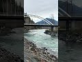 Vedder River #automobile #birdingparadise #birdcall #lake #birdsound #pier #fishing #birdsong