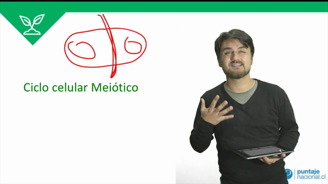 Biología - Mecanismos de Reproducción Celular II - Clase N°9 2019 clases online gratis