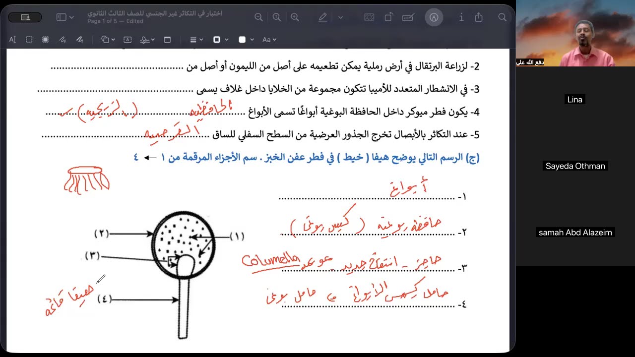 حل اختبار في التكاثر غير الجنسي| أحياء الشهادة السودانية