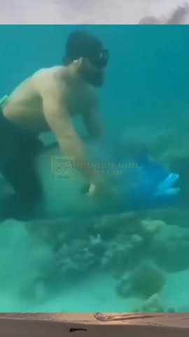 Icikiwir Versi Ikan#Meme#Short#SuperMemesRandom