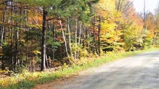 Homes For Sale  Sargent Way Lot  28 Jay Vt 05859  Lyell Reed