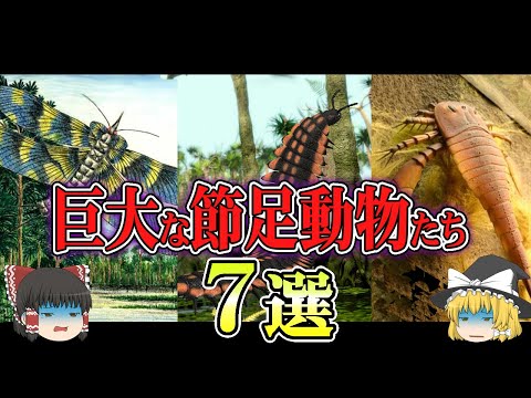 【ゆっくり解説】見たらあなたも好きになるかも？！ 古代の巨大な節足動物７選