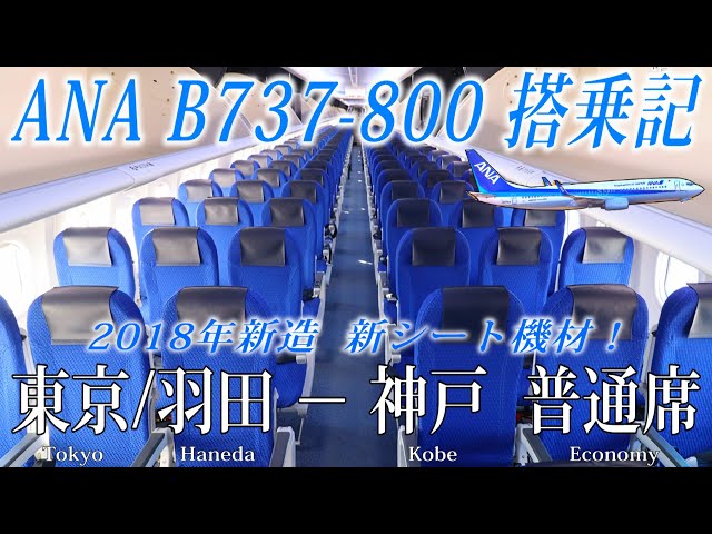 ANA 4機しかないレアなB737-800 搭乗記！( 2018年導入の新シート仕様