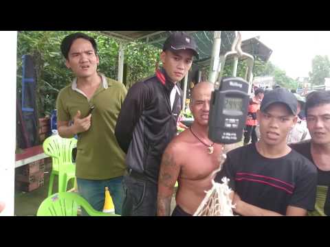 Hugo 24,43kg giải nhất ngày câu thi 02/10/2016 tại hồ Quận Ký