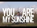 Andy henderson  you are my sunshine the civil wars cover