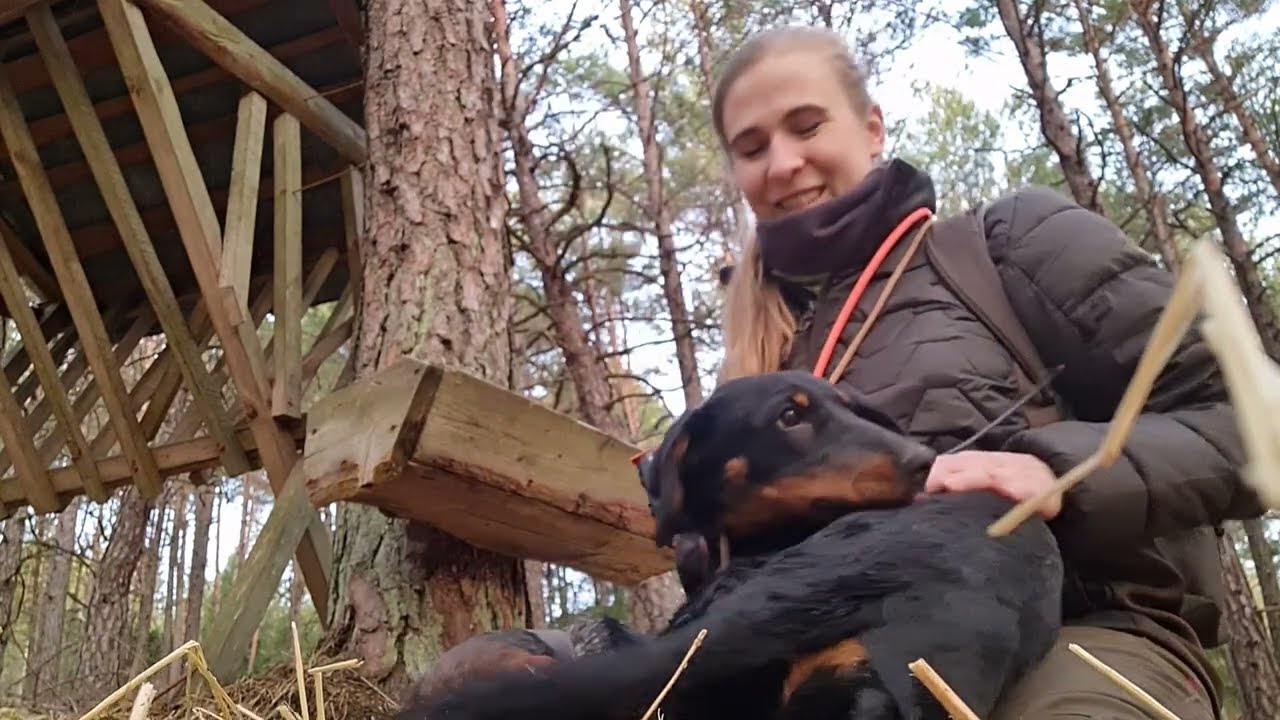 Vynášame soľ s jazvečíkom a kopovom