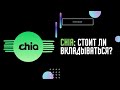 Обзор блокчейна, который взорвал рынок жестких дисков. CHIA Network, стоит ли вложиться в него?