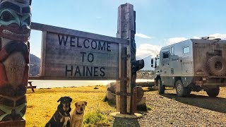 Awesome Wildlife Haines, Alaska  ► | LiveandGive4x4