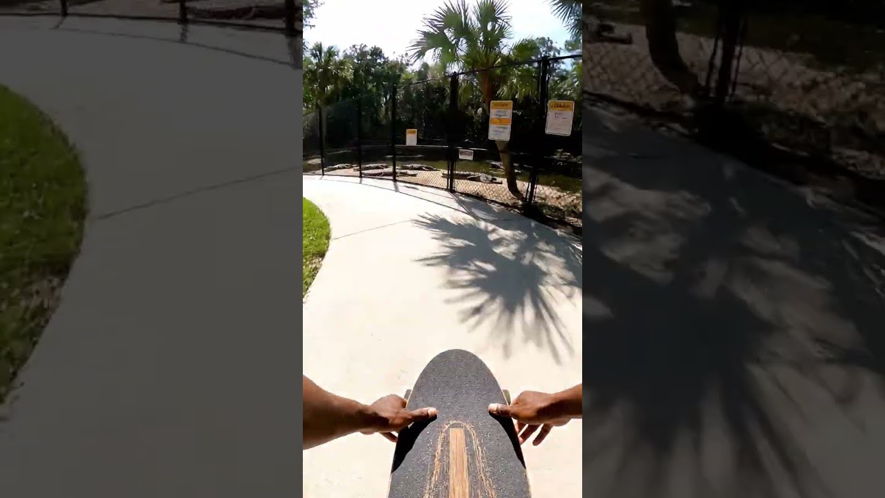 Skateboard Safari Adventure