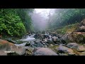 ASMR Suave sonido de río en un día nublado muy relajante