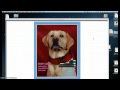 CIS 136 - Ch. 5 Skills Review 5-38