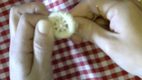 Making Dorset Buttons Part 5- Rounding