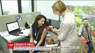 Працівники "1+1 медіа" долучились до всесвітньої акції "Візьми собаку на роботу" Працівники "1+1 медіа" долучились до всесвітньої акції "Візьми собаку на роботу"