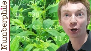 Primes are like Weeds (PNT)  Numberphile