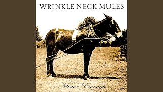 Video thumbnail of "Wrinkle Neck Mules - Minor Enough"