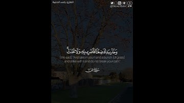 ﴿.. إنا وجدناه صابرا نعم العبد إنه أواب﴾ | القارئ: راشد الحليبة
