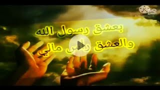 ماشي في ملك الله.. في حب رسول الله /أيمن الدالي