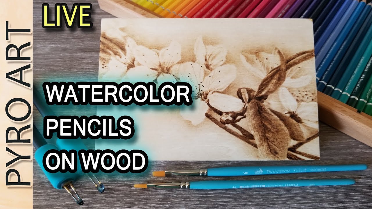 How to color with watercolor pencils and waterbrush - dagdrömmar