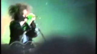 The Cure - Fascination Street (Live 1993)