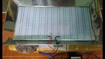 chụp led câu mực siêu sáng siêu bền