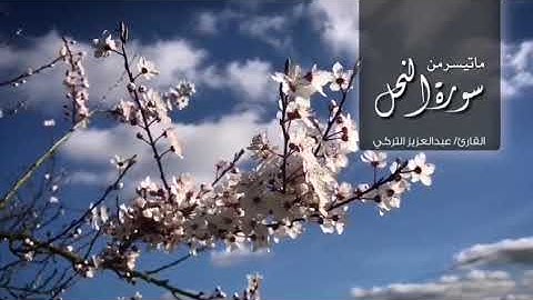 القارئ: عبدالعزيز التركي| سورة النحل