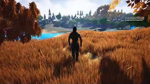 Legendoftwowolves - 2019 UE4 Spring Game Jam Entry