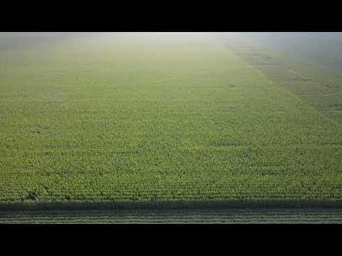 Where Is Dodge County Located In Minnesota