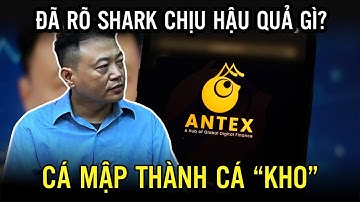 Giải Thích Vụ án Lừa Đảo Của Shark Bình Trong 16 Phút Và Cái Kết