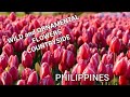 TAME &amp; UNTAMED FLOWERS | WILD FLOWERS | LIGAW NA BULAKLAK SA PROBINSYA