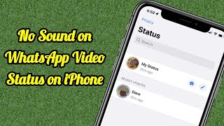 No Sound On Whatsapp Video Status On Iphone Ios 173174 Fixed
