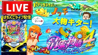 ノッチ配信者パチンコライブの配信のサムネイル画像
