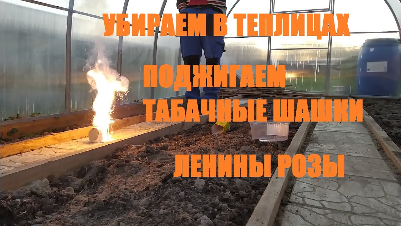 Как зажечь шашку в теплице. Как зажечь шашку в теплице