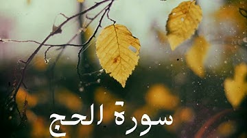 سورة الحج كاملة للشيخ هاني الرفاعي بصوت عذب و جميل و تلاوة رائعة و بدقة عالية ... توقف و أرح قلبك