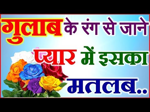 Rose Color Meanings गुलाब के रंग से जाने प्यार में इसका मतलब