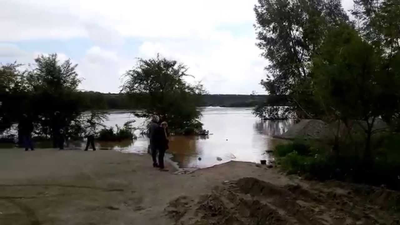 Магазин Богатырь Бийск Зеленый Клин
