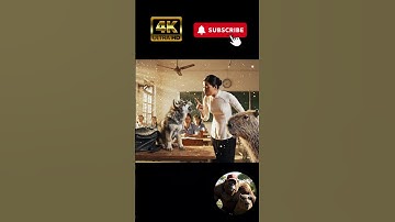 Minh béo chơi xấu bỏ sói con vào cặp troll Capy và cái kết 🤣 🤣 #viral #capybara