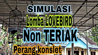 simulasi lomba lovebird 2021 NON TERIAK #perangkonslet #durasipanjang