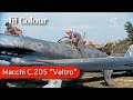 Macchi c205 veltro footage  regia aeronautica  anr in world war two ai 60fps colourized