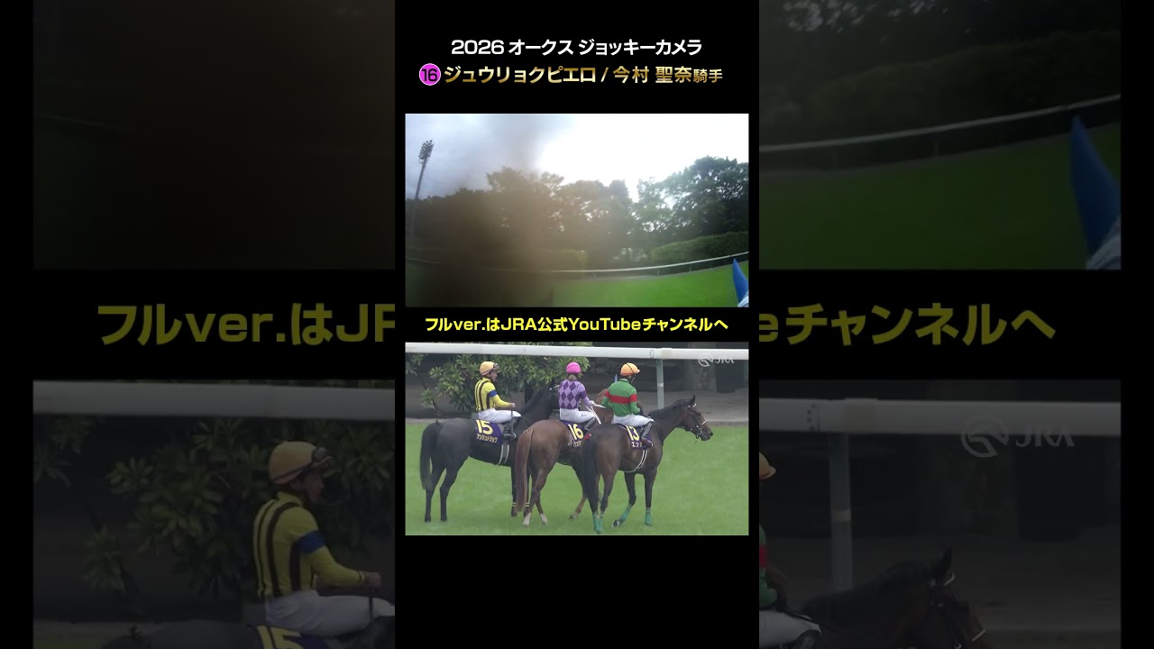 YT1101JR001356