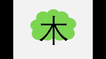 Pronunciation, strokes writing and meaning of 木 (mù: tree)