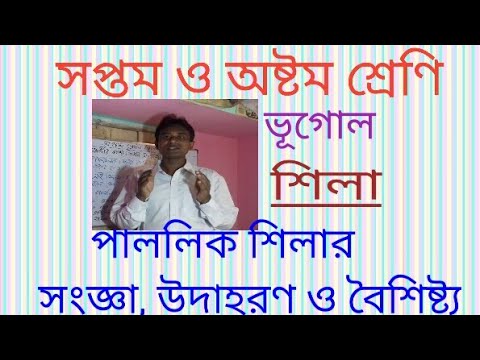 ভিডিও: ক্রিমিয়ান শেল রক (২২ টি ছবি): ক্রিমিয়া থেকে শেল শিলার মাত্রা, সাকি কোয়ারি থেকে একটি পাথরের বৈশিষ্ট্য