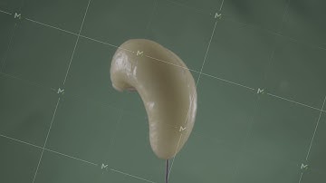 Cashew rotating with loop on green screen for chroma key