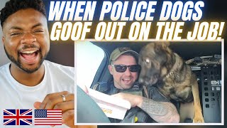 WHEN POLICE DOGS FORGET THEY ARE POLICE DOGS! - Brit Reacts