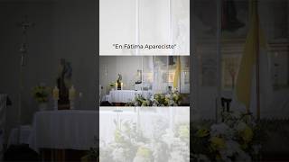 Virgen de Fátima #VirgendeFátima #13deMayo #Fe #Oración #Paz #María #Fátima  #RezoDelRosario